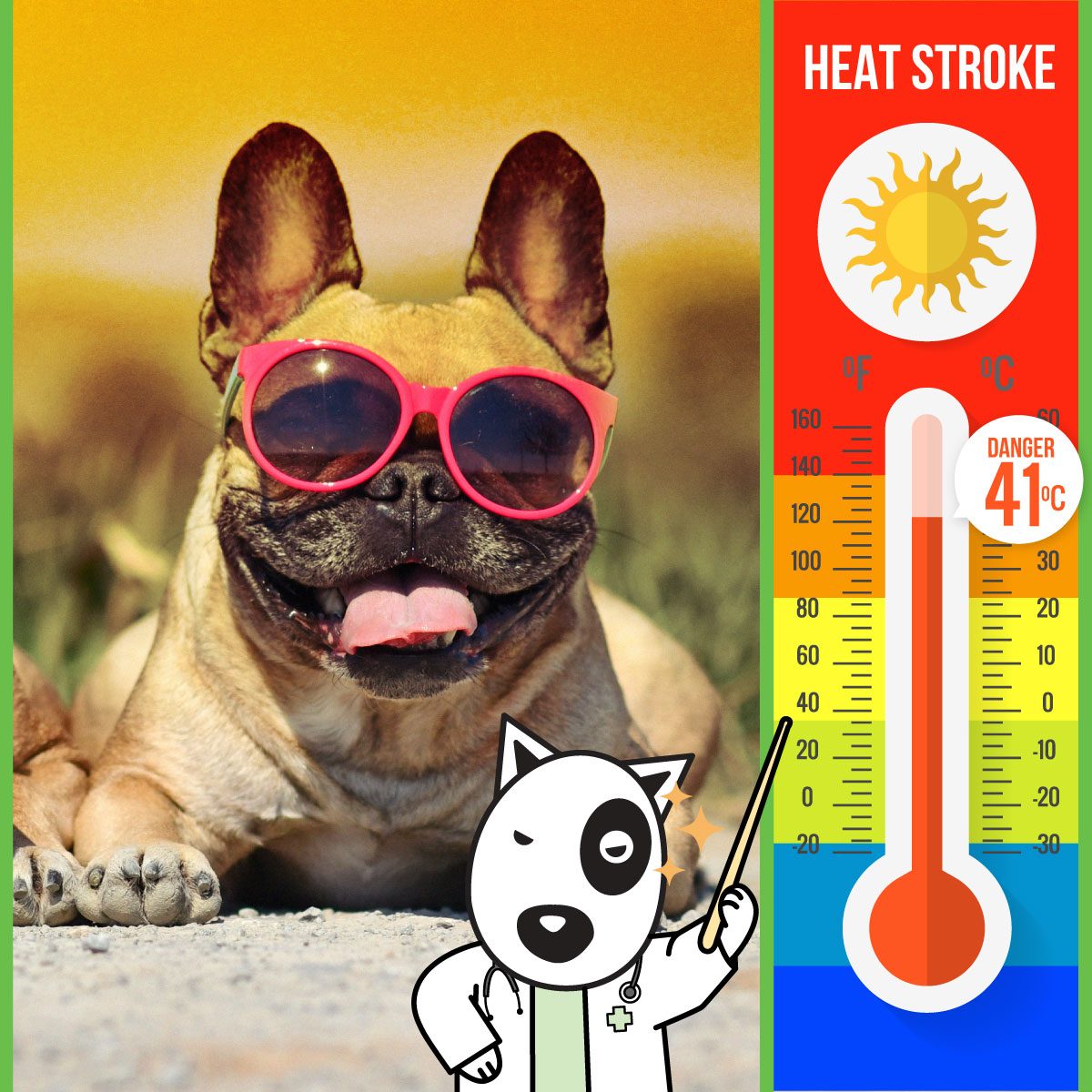 Bok-Bok-Heat-Stroke-Banner-1200x1200